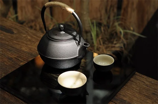美しいけど危険！私の庭を侵略した青い花の正体と駆除方法