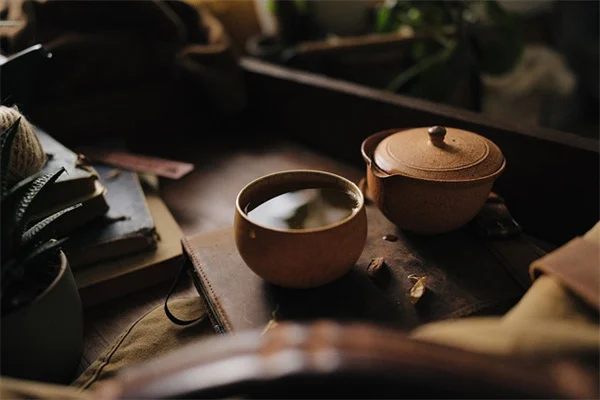 水菜の育て方完全ガイド！初心者でも3週間で収穫できるコツ
